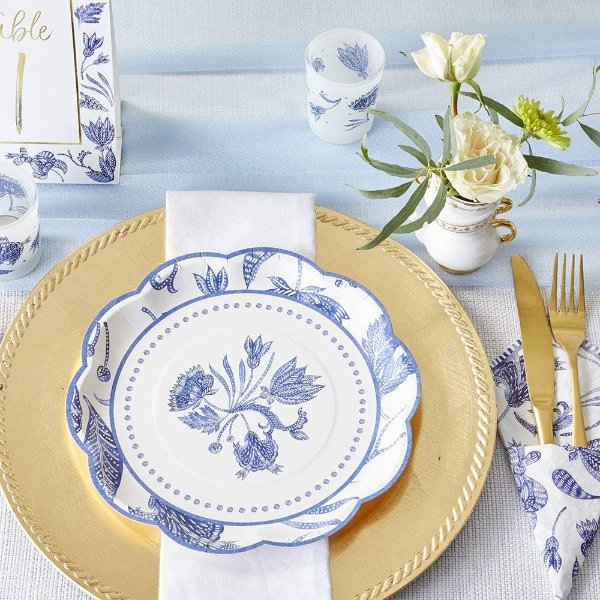 Kate Aspen Blue Willow Paper Plates 16 Pack