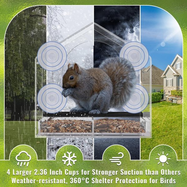 Clear Window Bird Feeder Removable Tray