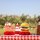 BBQ Honeycomb Centerpieces 9 Pieces