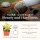 Shop Succulents 多肉植物组合 20盆