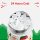 ENCOOL Stainless Steel Straw Water Bottle 26oz Bright Holiday