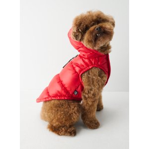 Super Ruff Puff 小狗狗羽绒服