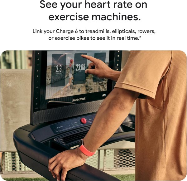 Charge 6 金色健身手环 心率监测