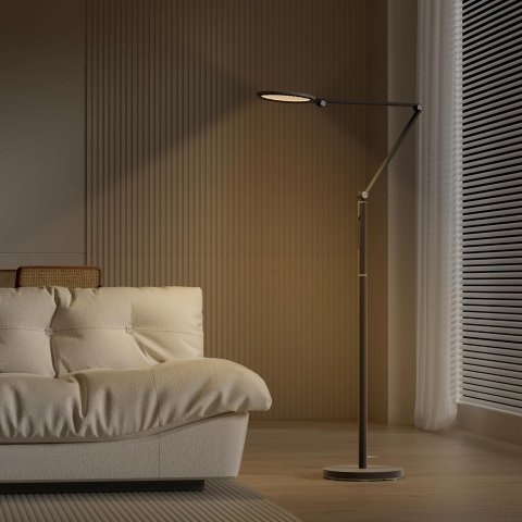F01BK LED Floor Lamp with Remote 5-Color Dimmable
