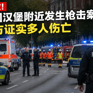 突发！德国汉堡附近发生枪击案，警方证实多...