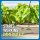 Roundup 除草剂 泵式喷雾器 1.33加仑