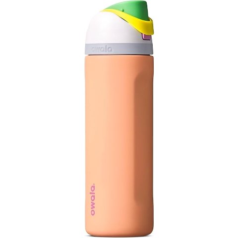  FreeSip Stainless Steel Water Bottle with Straw 24oz Peachy Keen