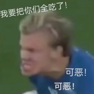 救命🤣这组哈兰德表情包笑到缺氧...