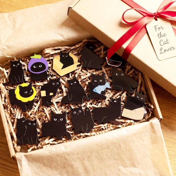 Black Cat Magnetic Bookmarks 30 Pack 15 Styles