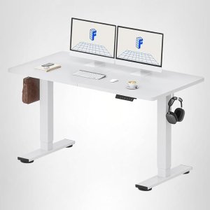 FLEXISPOT  电动升降桌 48x24英寸 白色