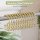 Amazer Stainless Steel Shower Curtain Hooks 12 Pack