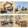 ID Gerilla RC Excavator Metal Shovel 680° Rotation