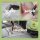 BISSELL Little Green 4015 Cordless Mini Carpet Cleaner
