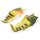 Coddies Fish Flip Flops 男士沙滩拖鞋