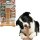 SPOT Bam-Bones T-Bone Dog Chew Bamboo Fiber 6 Inch
