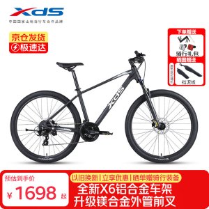 XDS 黑客500 山地车 17英寸 深灰白