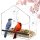 Clear Window Bird Feeder Removable Tray