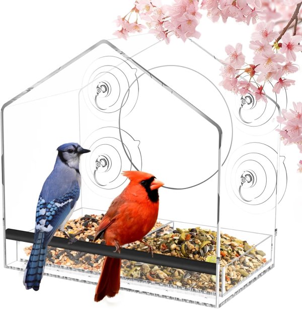 Clear Window Bird Feeder Removable Tray