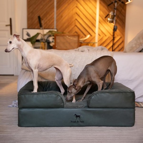 NOAH & PAW 大号犬床 记忆绵 35x25x11英寸