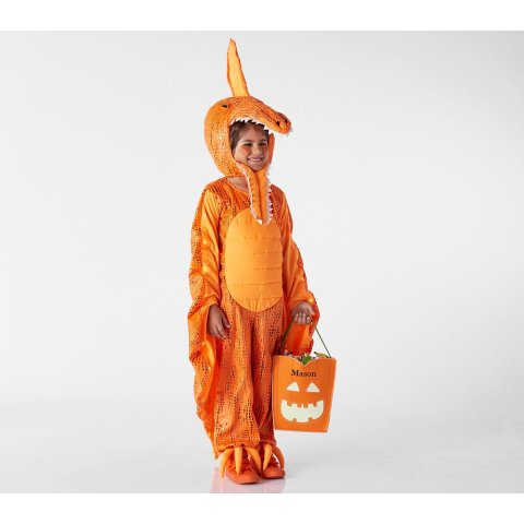 Light Up Pterodactyl Costume 4-6Y
