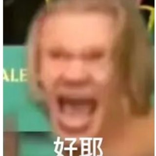 救命🤣这组哈兰德表情包笑到缺氧...