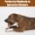 SPOT Bam-Bones T-Bone Dog Chew Bamboo Fiber 6 Inch