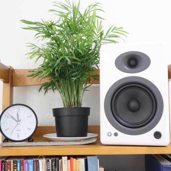 A5+ 无线书架音箱 白色