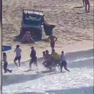 悉尼进入鲨鱼紧急状态！35岁妈妈遭大白鲨...