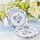 Kate Aspen Blue Willow Paper Plates 16 Pack