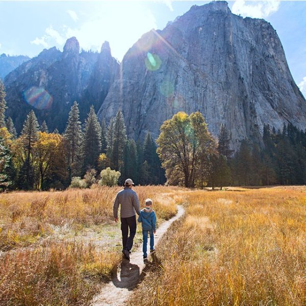 Hurry Up!Any California Residents: 2026 Special Edition California State Park Historian Passport Free to Apply