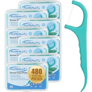 Alosalut 牙线棒 480支 薄荷味