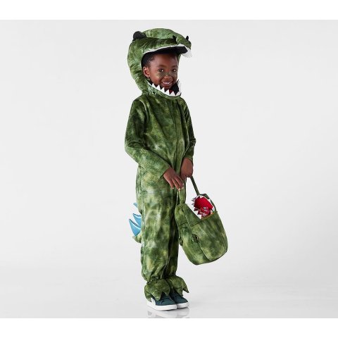 Light-Up T-Rex Costume 4-6Y