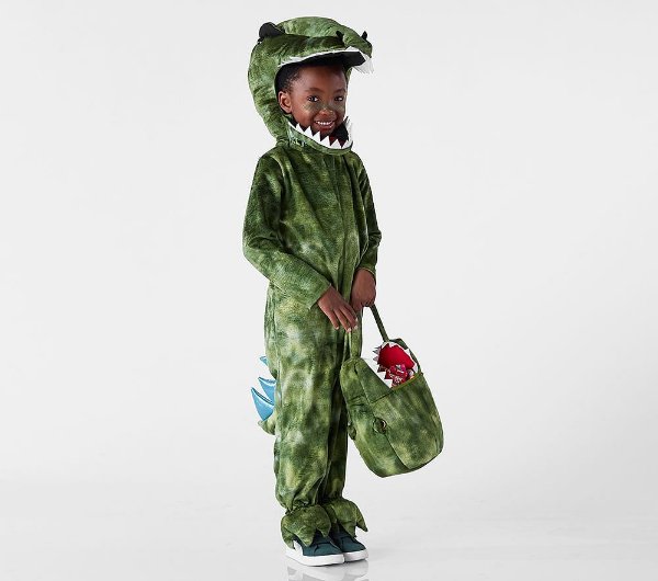 Light-Up T-Rex Costume 4-6Y