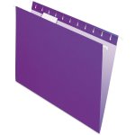 Pendaflex 文件挂夹 25件 紫色