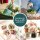 Shop Succulents 多肉植物组合 20盆