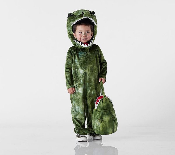 Light Up T Rex Costume 3T