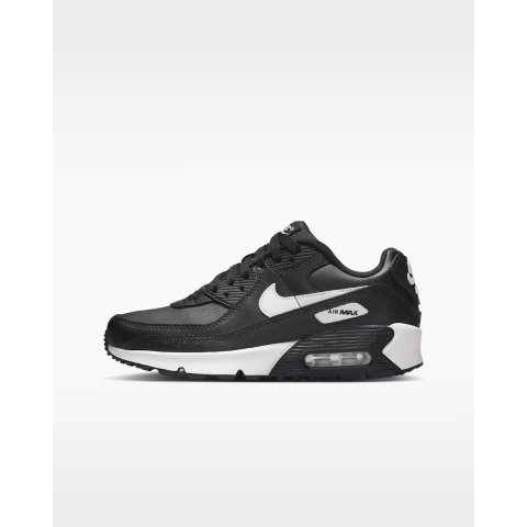 Air Max 90 LTR Big Kids  Shoes