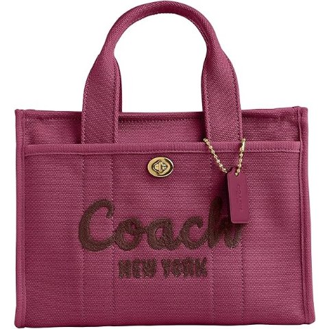 Coach 彩虹刺绣帆布手提包 26