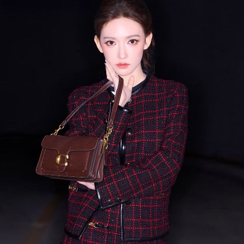 花纹腋下单肩包$109初夏上新 | COACH Outlet 热卖 | 低至3折