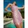 retrofete Ninette Embroidered Mini Dress Rosa