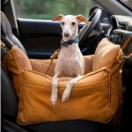 Noah and Paw 精选高颜值宠物用品 折上额外8.5折
