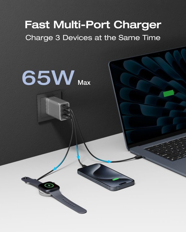 EF ECOFLOW 65W GaN USB-C Charger