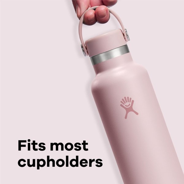 Insulated Stainless Steel Water Bottle 24oz Black