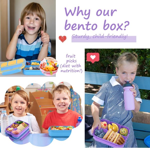 QQKO Kids Bento Lunch Box Purple 4 Compartments
