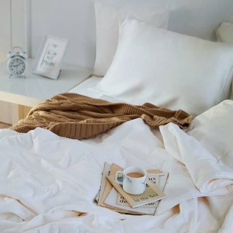 真丝枕套$19LILYSILK 真丝家居 打造理想生活 低至6折