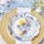 Kate Aspen Blue Willow Paper Plates 16 Pack