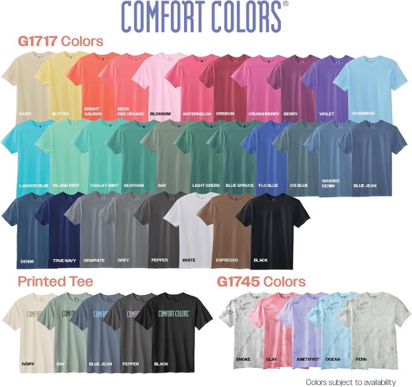 Comfort Colors G1717 短袖T恤 多件装