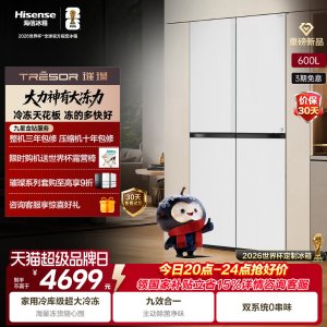 Hisense 璀璨十字冰箱 600L 双系统