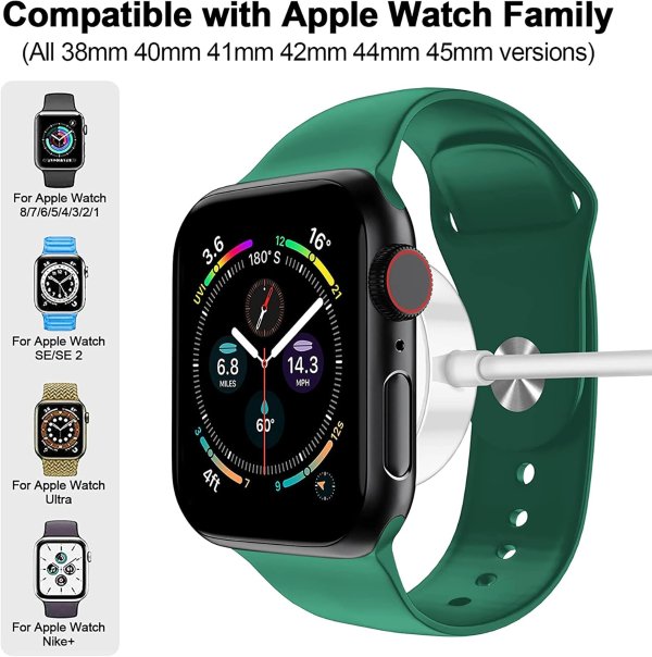 xiwxi Apple Watch 磁吸充电线 USB-C 1米