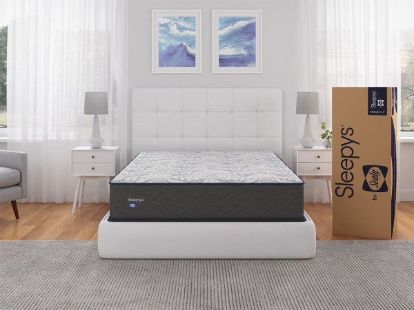 Sealy Slumber 中号记忆棉床垫